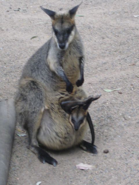 Australia