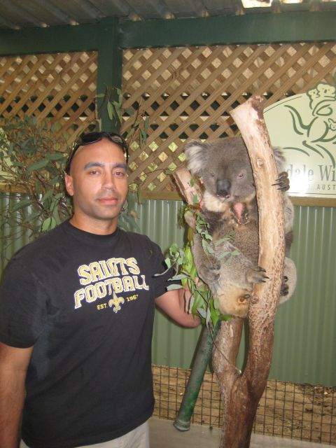 2008 Ford F-250 - A man poses for a photo with a koala in an enclosure with a sign in the background.