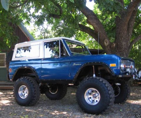 1977 Ford Bronco photo
