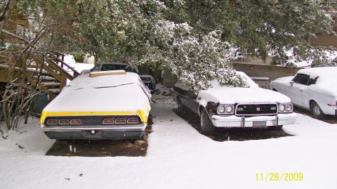 1968 Ford Mustang - A yellow-trimmed car sits covered in snow next to other vehicles in a snowy yard.
