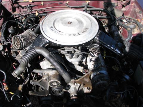 1984 Ford LTD photo