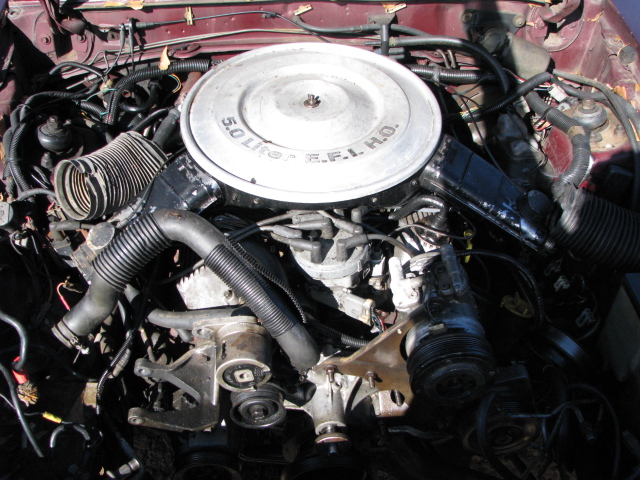 Engine bay showing 5.0 Liter EFI H.O. V8 with round chrome air cleaner in a dark red car