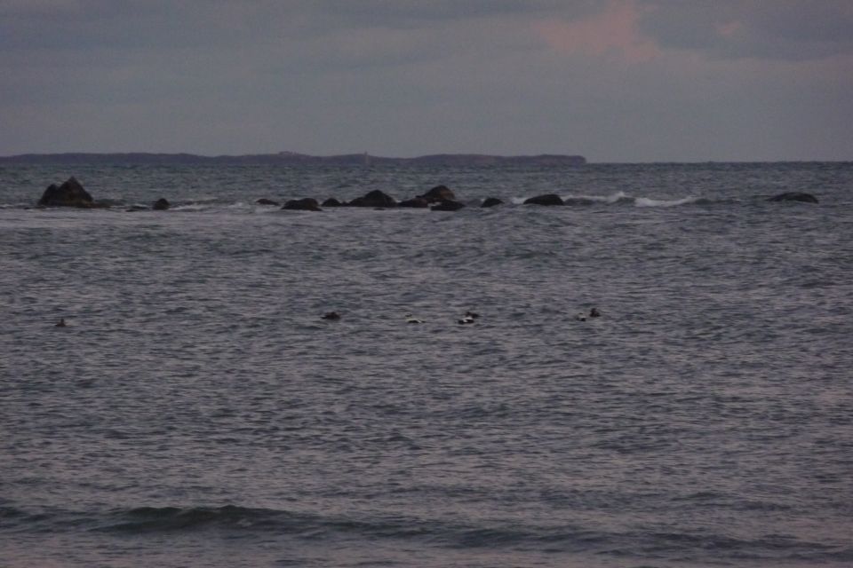 Ocean waves breaking on rocks in the distance, with birds on the water