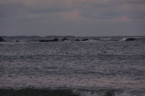 1989 Ford F-150 - A view of the ocean with waves breaking over rocks in the distance.