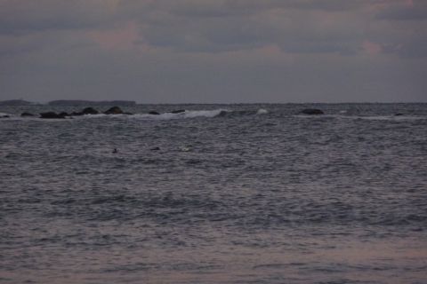 1989 Ford F-150 - A cloudy day at the ocean with waves, rocks, and birds visible. The Supermotors logo is in the lower right corner.