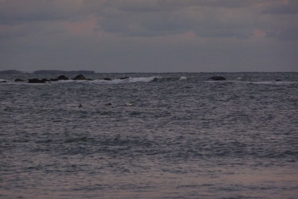 Ocean with waves crashing on rocks, birds in the water, and a distant island under a cloudy sky. Supermotors logo in corner