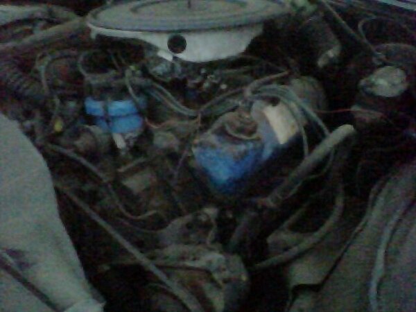 Engine bay with air cleaner, distributor, and wiring visible
