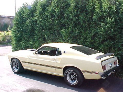 1969 Ford Torino - Rear quarter view of a 1969 Ford Mustang coupe with a black spoiler.