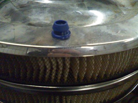 1979 Ford F-250 - Chrome air cleaner assembly with a blue vacuum cap visible.