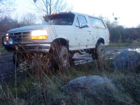1995 Ford Bronco - at lake michigan