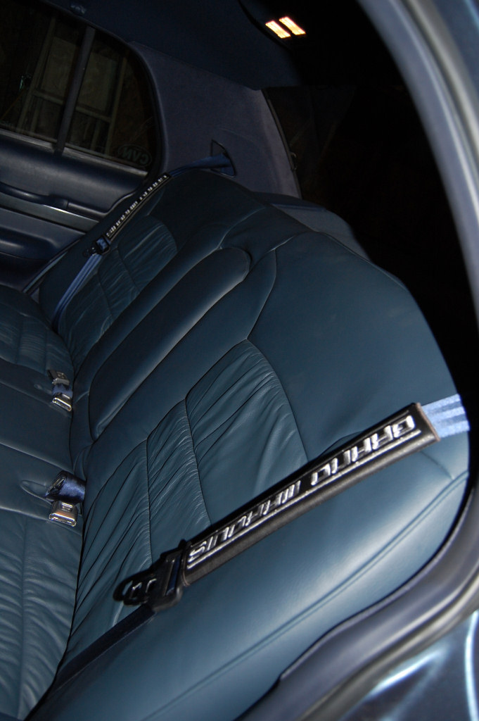 Blue leather rear car seat with seatbelt shoulder pad visible
