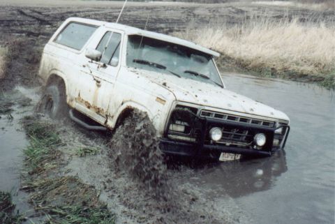 1980 Ford Bronco - I'm stuck dude