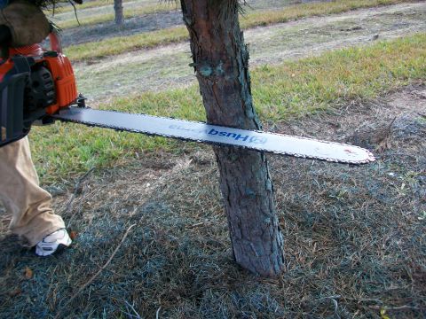 1983 Ford F-250 - A chainsaw is being used to cut into a tree trunk in a grassy outdoor area.