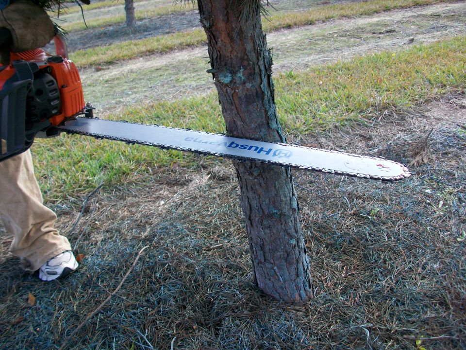 Person using a chainsaw to cut a tree trunk. The chainsaw bar has 'Husqvarna' written on it