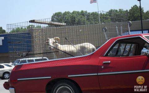 1973 Ford Ranchero photo