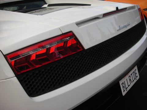 1998 Ford Crown Victoria - Rear view of a white Lamborghini Gallardo, its signature taillights and grille design.