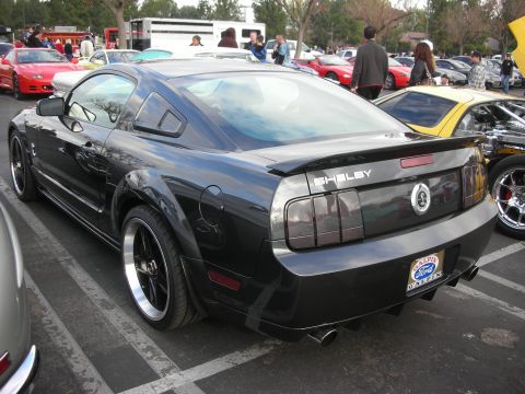 1998 Ford Crown Victoria - A black Ford Mustang Shelby is seen from the rear in a parking lot with other vehicles.
