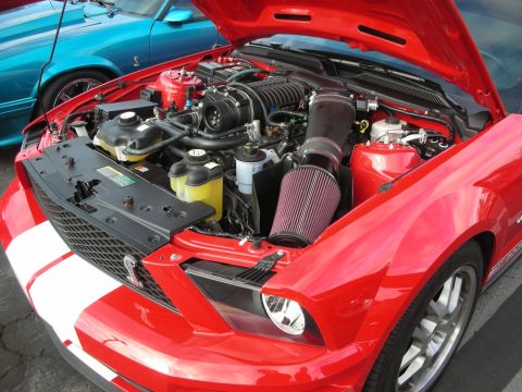 1998 Ford Crown Victoria - A red Ford Mustang's engine bay is visible, with a blue car parked nearby.