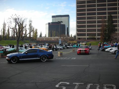 1998 Ford Crown Victoria - Blue Ford Mustang GT is parked in a lot with many other vehicles and tall buildings in the background.