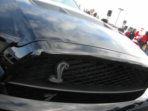 1998 Ford Crown Victoria - Close-up of a black car's front grille, identified by its distinctive cobra emblem and diamond pattern.