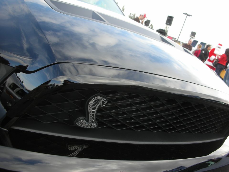 Black car grille with a silver cobra emblem. The grille has a diamond pattern. Reflections of clouds are visible on the hood