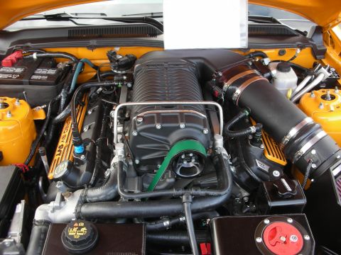 1998 Ford Crown Victoria - Close-up of a supercharged V8 engine, likely from a performance vehicle.