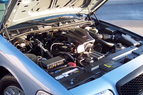 2001 Ford Crown Victoria - Engine bay of a 2001 Ford Crown Victoria, showing the V8 engine and associated components.