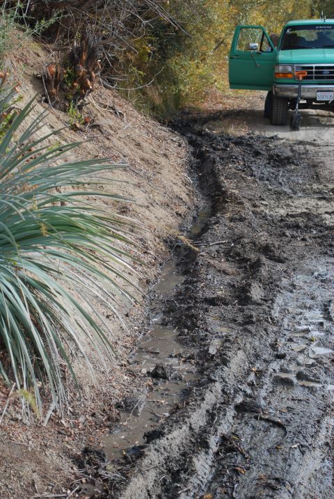 1996 Ford Bronco - Green pickup truck with open door on a muddy road, likely stuck.