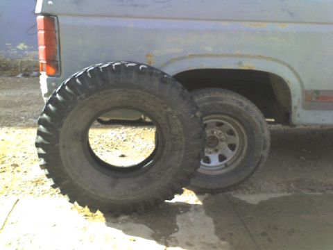 1981 Ford Bronco photo