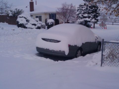 2003 Ford Taurus - A sedan is almost completely buried in snow, with only the rear visible.