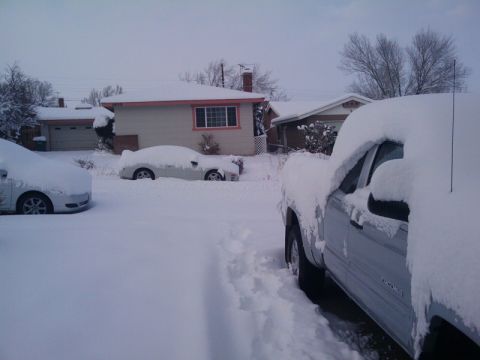 2003 Ford Taurus - Multiple vehicles are covered in deep snow on a cloudy day.