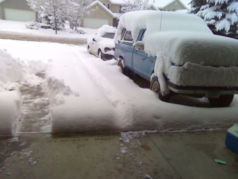 2006 Ford E350 - Two vehicles are buried under snow after a winter storm, with a cleared path leading to the street.