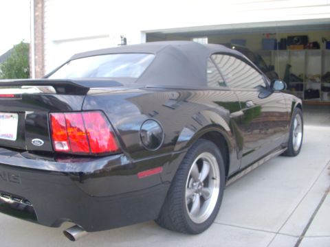 2001 Ford Mustang photo