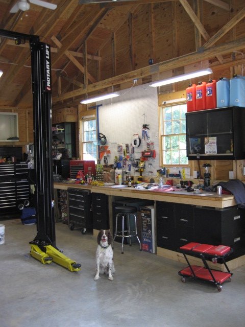 1996 Ford Bronco - A dog sits patiently in a well-equipped garage, awaiting its owner's attention.