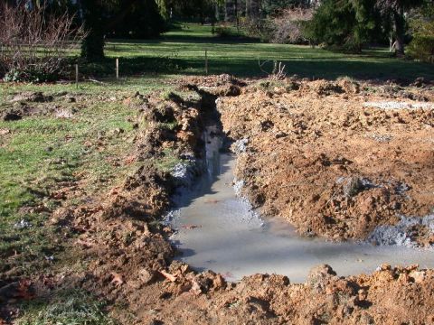 1996 Ford Bronco - A dug trench with standing water sits in a grassy area with trees in the background.