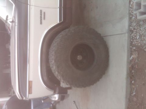 1982 Ford Bronco - Rear view of a 1982 Ford Bronco, showing the quarter panel and spare tire.