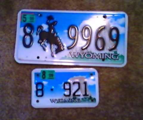 1999 Ford Crown Victoria - Two Wyoming license plates are displayed, one larger than the other, both a bucking horse and blue sky.
