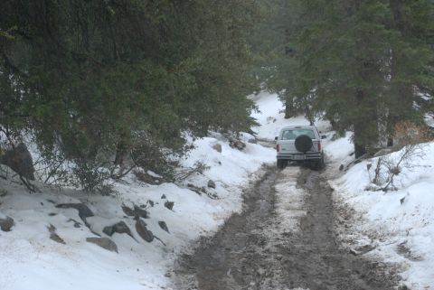 1996 Ford Bronco - A white SUV navigates a challenging muddy and snowy path through a wooded mountain area.