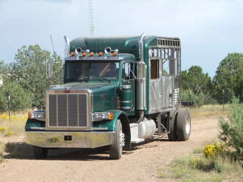 1995 Peterbilt 379 “O`Mally”
