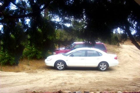 2000 Ford Taurus - A white sedan and a red SUV are parked outdoors under the shade of trees.