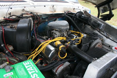 1979 Ford Bronco photo
