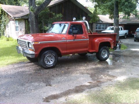 1979 Ford F-150 photo