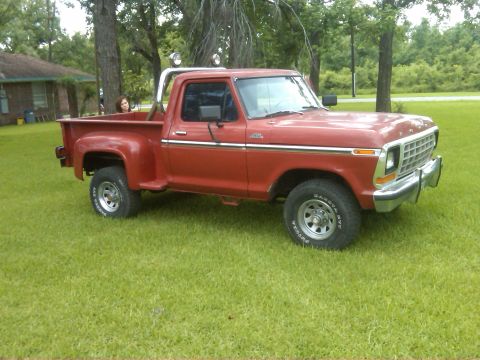 1979 Ford F-150 photo