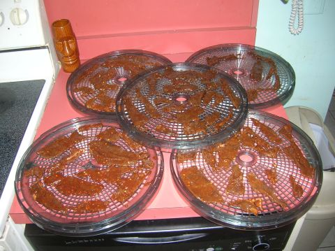 1996 Ford Bronco - Jerky is arranged on multiple trays of a food dehydrator, ready for processing.