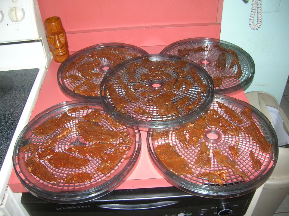 Four round food dehydrator trays filled with strips of jerky sit on a pink countertop above a black appliance