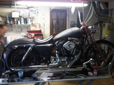 2006 Harley-Davidson Sportster Custom “Sin D Sue”