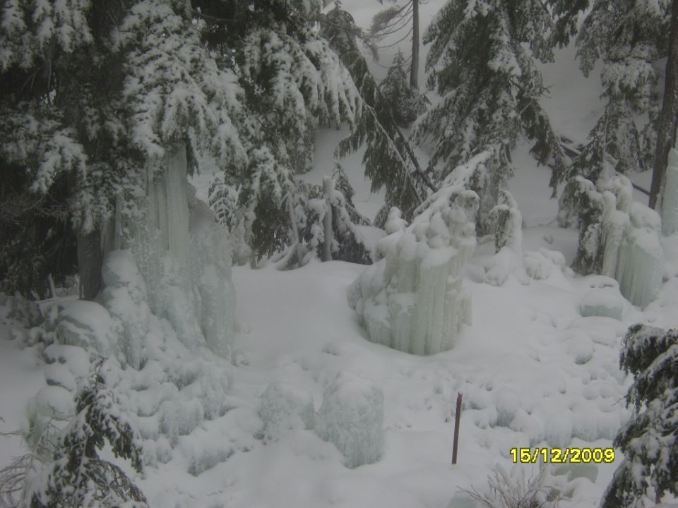 Snowy forest with icicles and ice formations. Watermark reads 15/12/2009 SUPERMOTORS www.supermotors.net