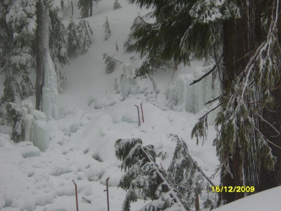 snowy mountain with ice formations and trees, date stamp 15/12/2009
