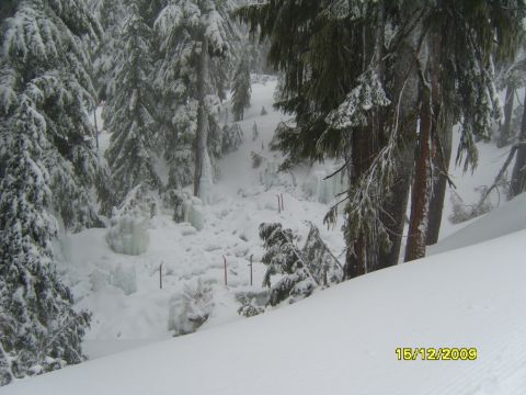 1989 Ford Bronco - A winter scene in a snow-covered forest with ice formations and ski poles visible.