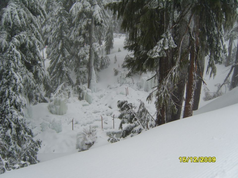 Snowy forest with ice formations and ski poles, taken from a snowy slope